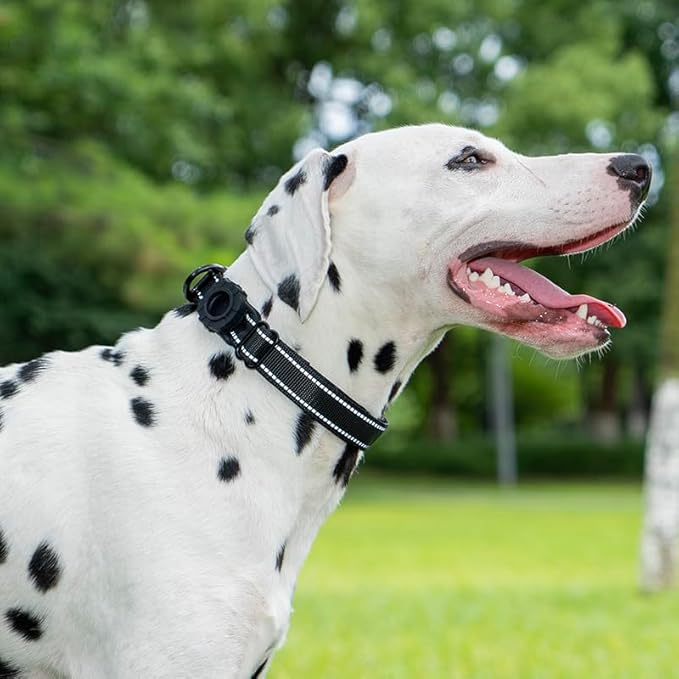 JSXD AirTag Dog Collar, Night Reflective Nylon Dog Collar for Small Medium Large Dogs,Lockable Quick Release Buckle,Padded Breathable Pet Collar with AirTag Holder (Black, Small)