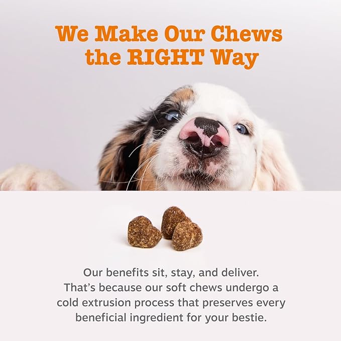 Zesty Paws Dog Allergy Relief Chews, Dog Probiotics for Itchy Skin and Ears, Lamb, 250ct (Pack of 2)