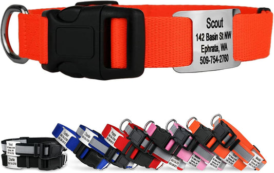 GoTags Personalized Dog Collar with Nameplate, Adjustable Dog Collar with Custom Engraved Slide On Pet ID Tag in Stainless Steel, Silent, No Noise Dog Tag for Large Medium and Small (Orange, Medium)