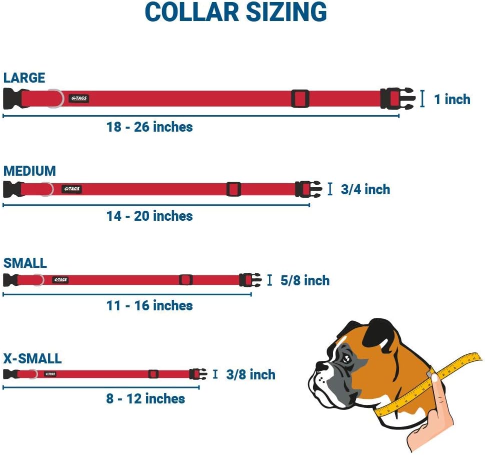 GoTags Personalized Dog Collar with Nameplate, Adjustable Dog Collar with Custom Engraved Slide On Pet ID Tag in Stainless Steel, Silent, No Noise Dog Tag for Large Medium and Small (Red, Small)