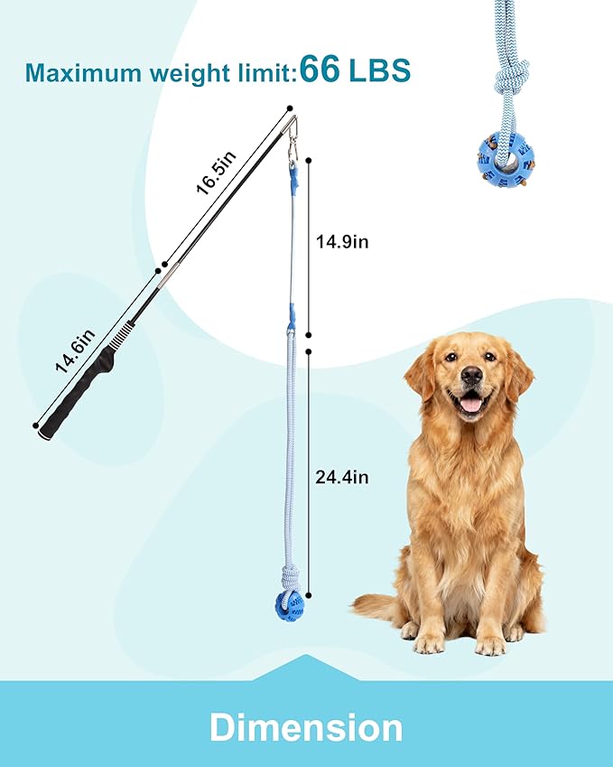 Flirt Pole for Dogs, Durable Dog Flirt Pole for Large Medium & Small Dogs, Interactive Dog Pole Toy with Rubber Ball for Outdoor/Indoor, Training, Chase, Tug of War 31 inch