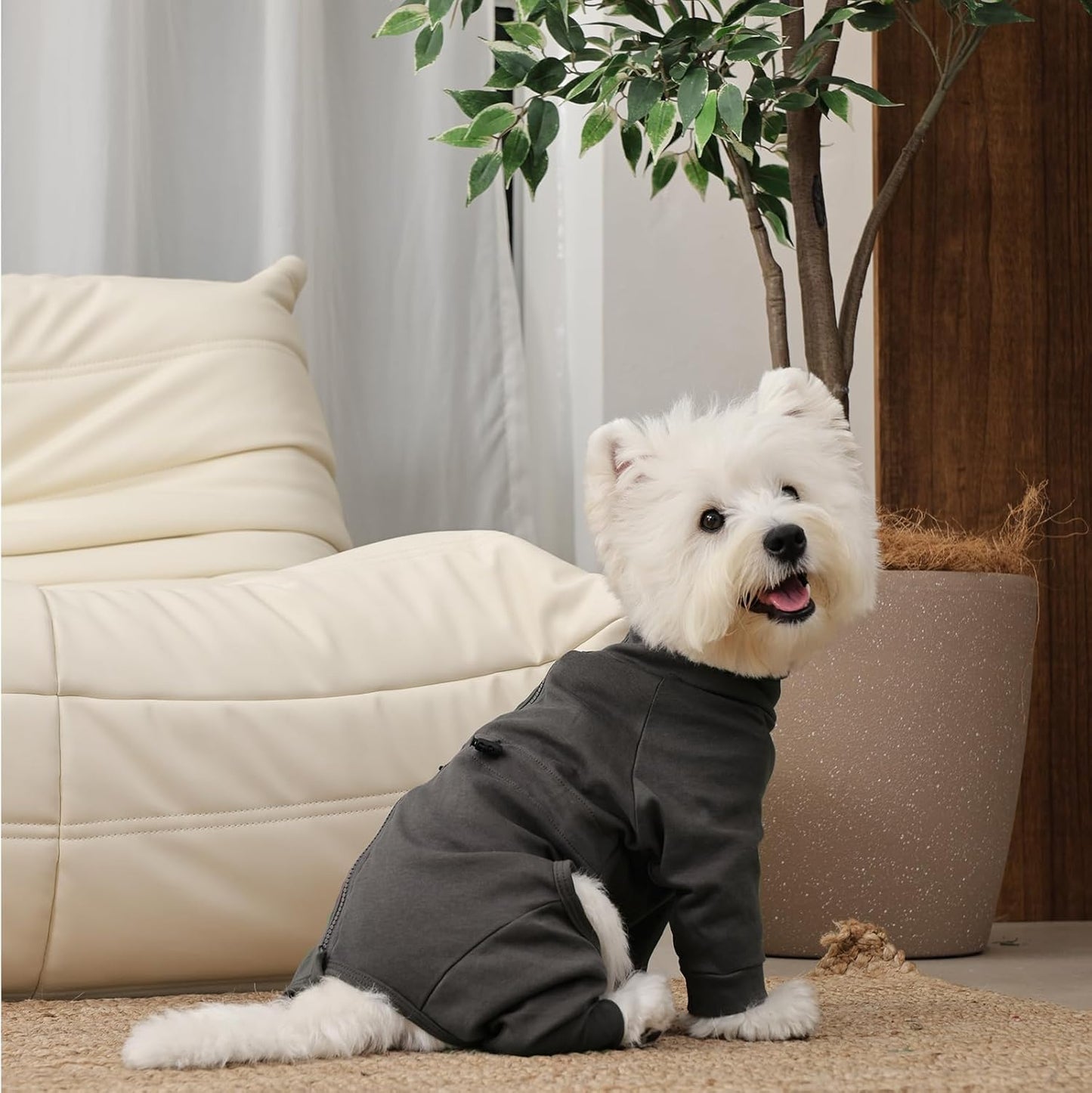Dog Recovery Suit, Long Sleeve Dogs Pjs for Small Dogs, Easy On/Off Dog Onesies with Back Zipper, Adjustable Anti-Licking Wound Shedding Suits for Pets, Schnauzer, Dachshund, Grey S