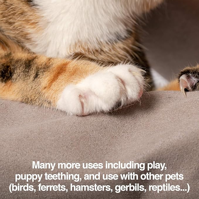 PetFusion Multipurpose Pet Grooming Gloves Great for Trips to Vet and Bathing, Puncture, Scratch & Water Resistant