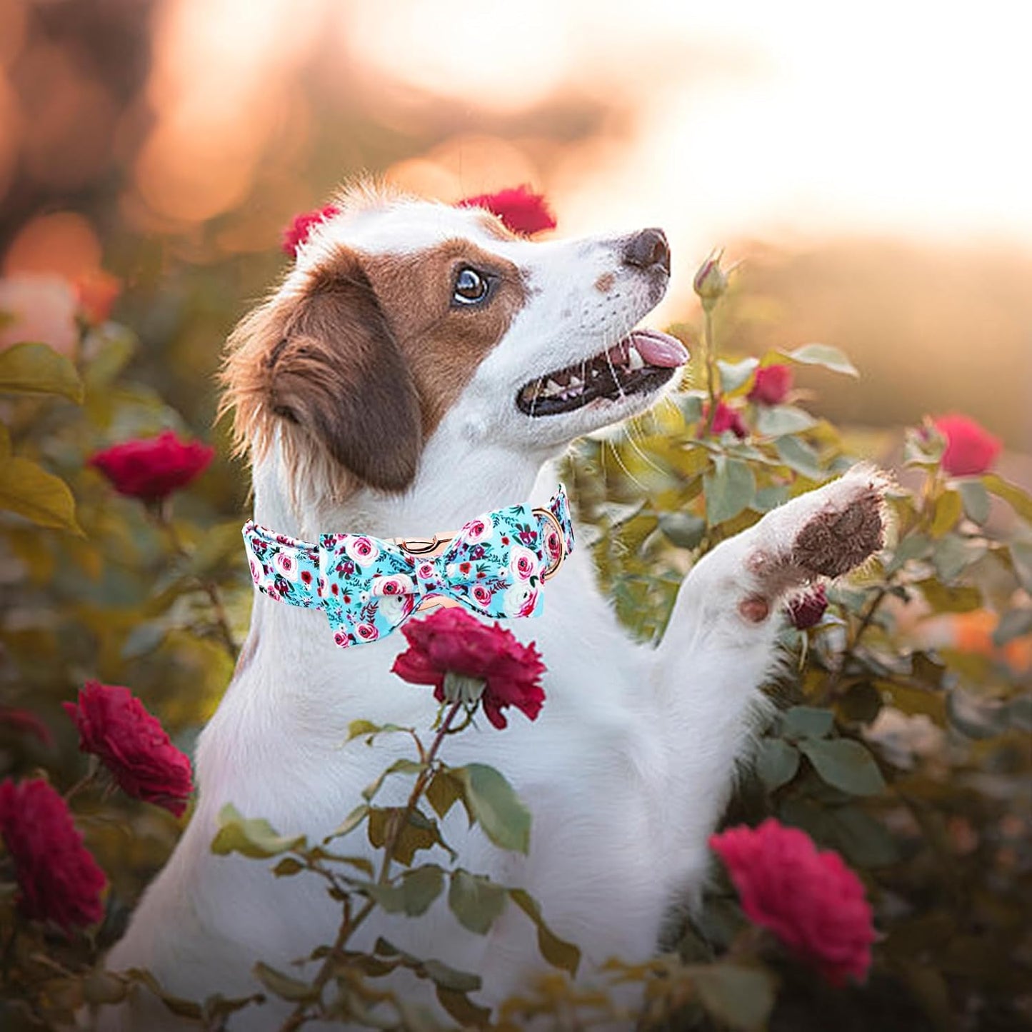 Elegant little tail Dog Collar, Rose Print Pet Collar Summer Dog Collar Durable Metal Buckle Dog Collars Cotton Pet Adjustable Dog Collars for Small Dogs