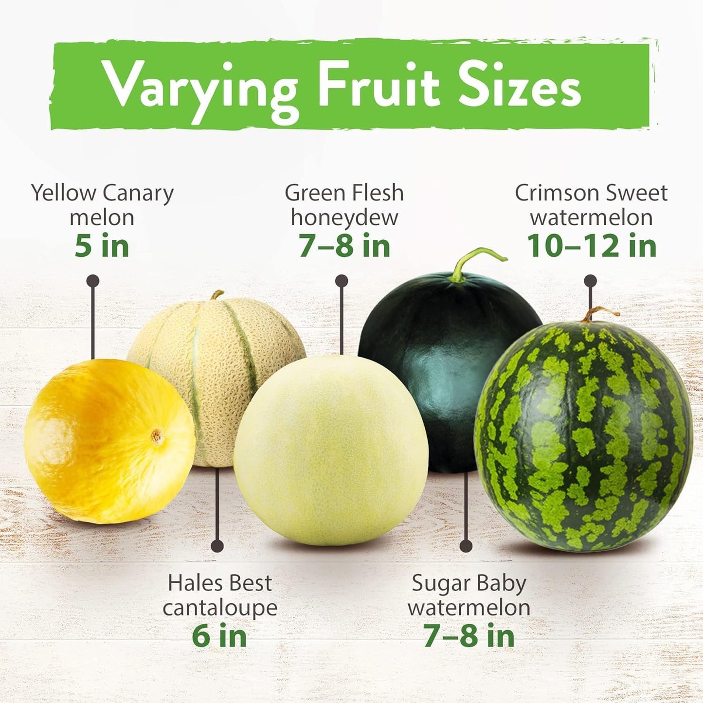 HOME GROWN π¨π¦π π£π₯ππ ππ¨π  Melon Seeds Variety Pack 5 π‘π’π‘-ππ π’ Heirloom Vegetable Seeds, Watermelon Cantaloupe Honeydew Sugar Baby & Melon, High Germination for Planting Home Garden Indoors