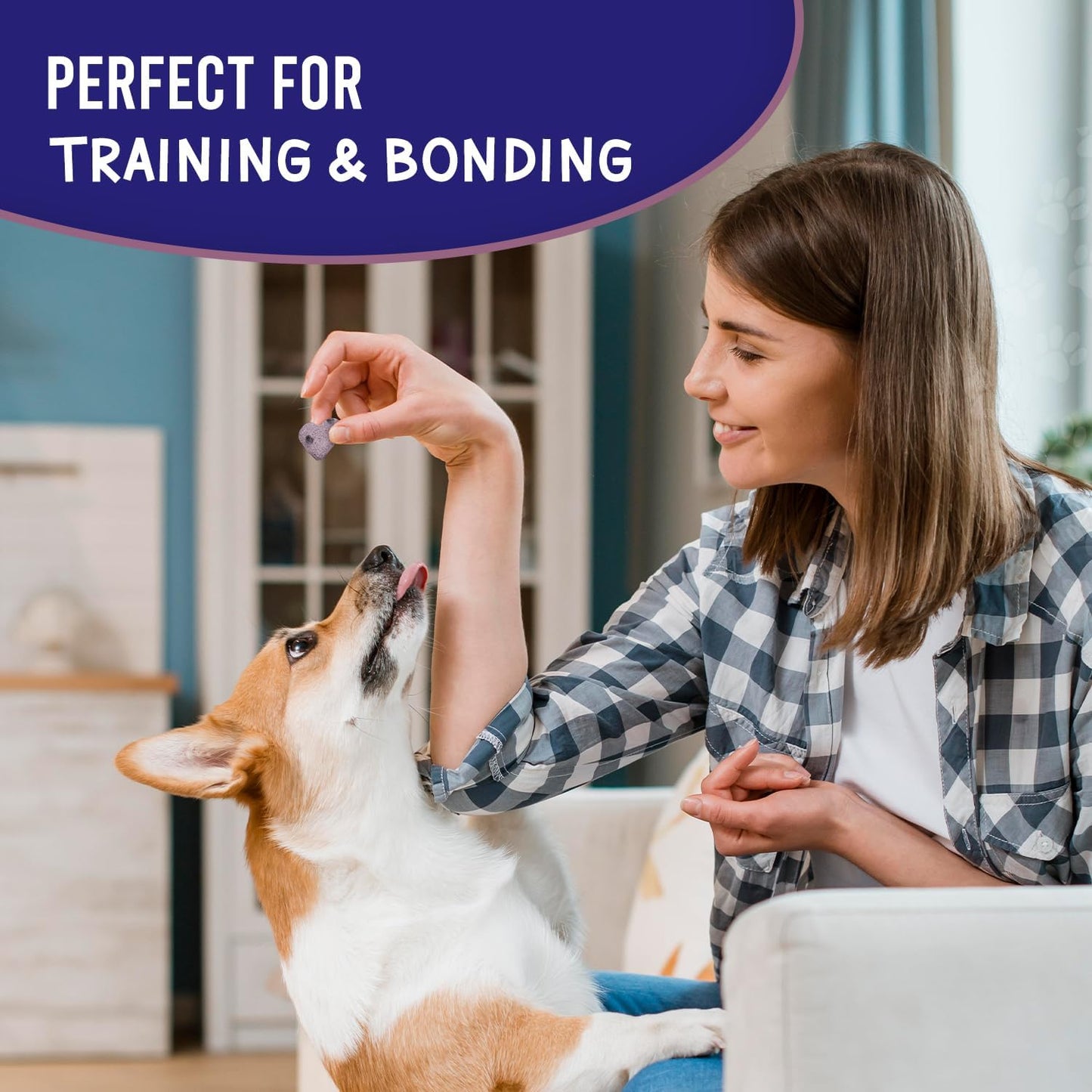 The Much-Loved Dog!™ Get More. Pay Less! Fun & Yummy, Small-Batched Baked, Fresh Blueberry Training & Reward Treats, 100% U.S.A., Human-Grade! (Pack of 2)