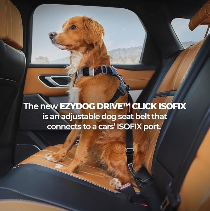 EzyDog Click ISOFIX Cargo - Dog Seat Belt Car Harness Attachment for Dogs - Adjustable Dog Restraints Seatbelts for Car Travel and Safety - (24in - 40in, Black)