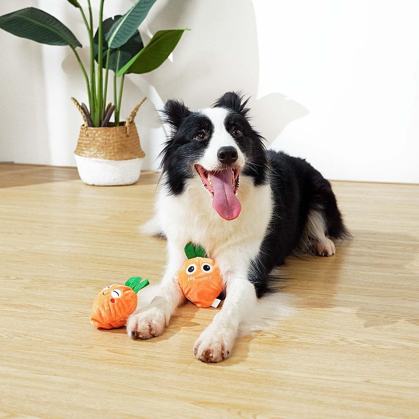 MewaJump Squeaky Easter Dog Toys with Ball, 3-in-1 Plush Cute Dog Toy, Dog Chew Toy with 3 Layers, Dogs Puzzle Pet Toy for Teeth Cleaning, Puppy Enrichment Toys for Small and Medium Breed