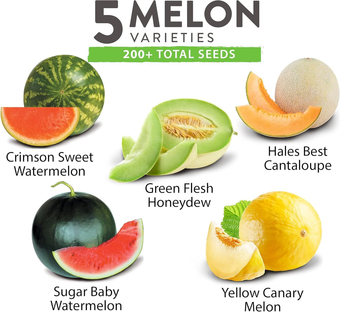 HOME GROWN π¨π¦π π£π₯ππ ππ¨π  Melon Seeds Variety Pack 5 π‘π’π‘-ππ π’ Heirloom Vegetable Seeds, Watermelon Cantaloupe Honeydew Sugar Baby & Melon, High Germination for Planting Home Garden Indoors