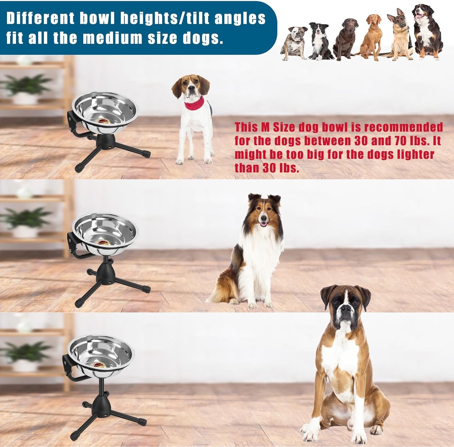 Elevated Dog Bowl with Adjustable Metal Stand, Medium Size for Dogs 30-70 lbs, 0.5 Gal 2 Liter, Stainless Steel Food & Water Bowl Set