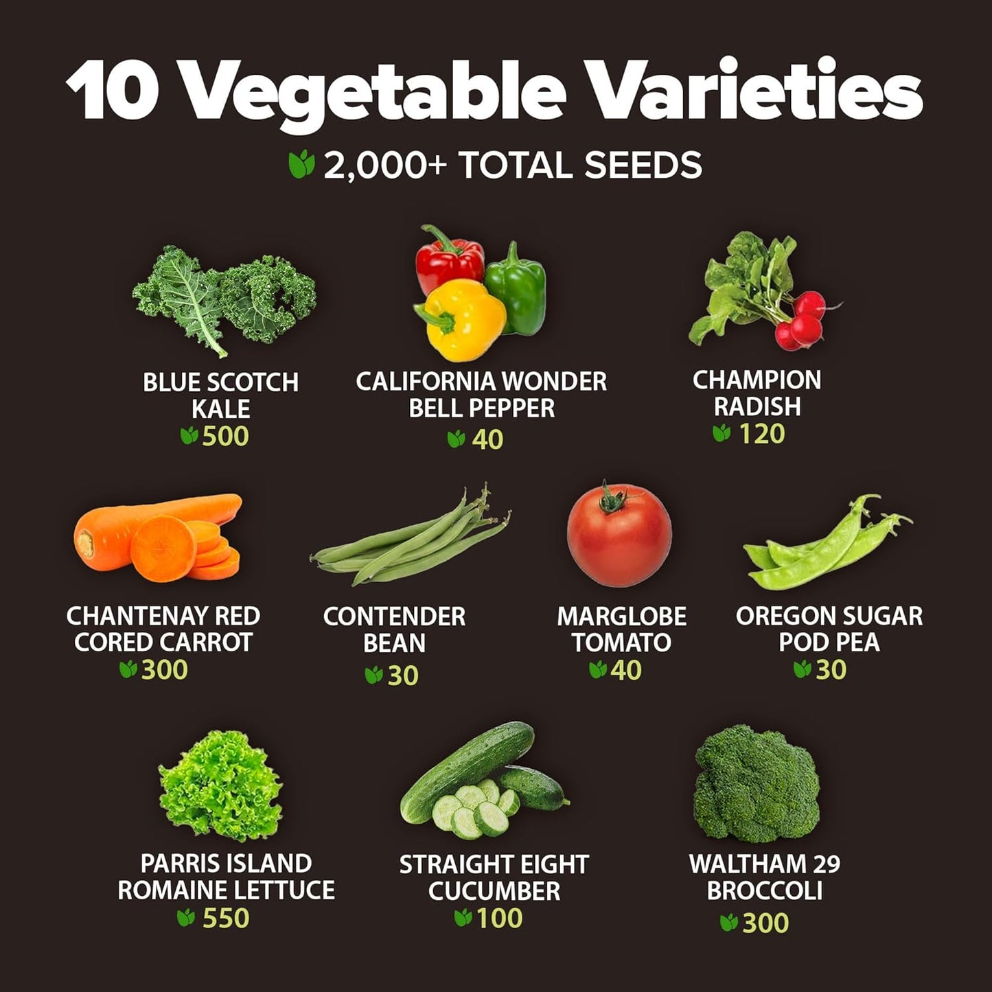 HOME GROWN π¨π¦π π£π₯ππ ππ¨π  10 Variety Vegetable 2,000+ π‘π’π‘-ππ π’ Seeds (Kale Lettuce Tomato Broccoli Beans Peas Bell Peppers Carrot Cucumber Radish) β Indoor & Outdoor Garden Survival Seeds
