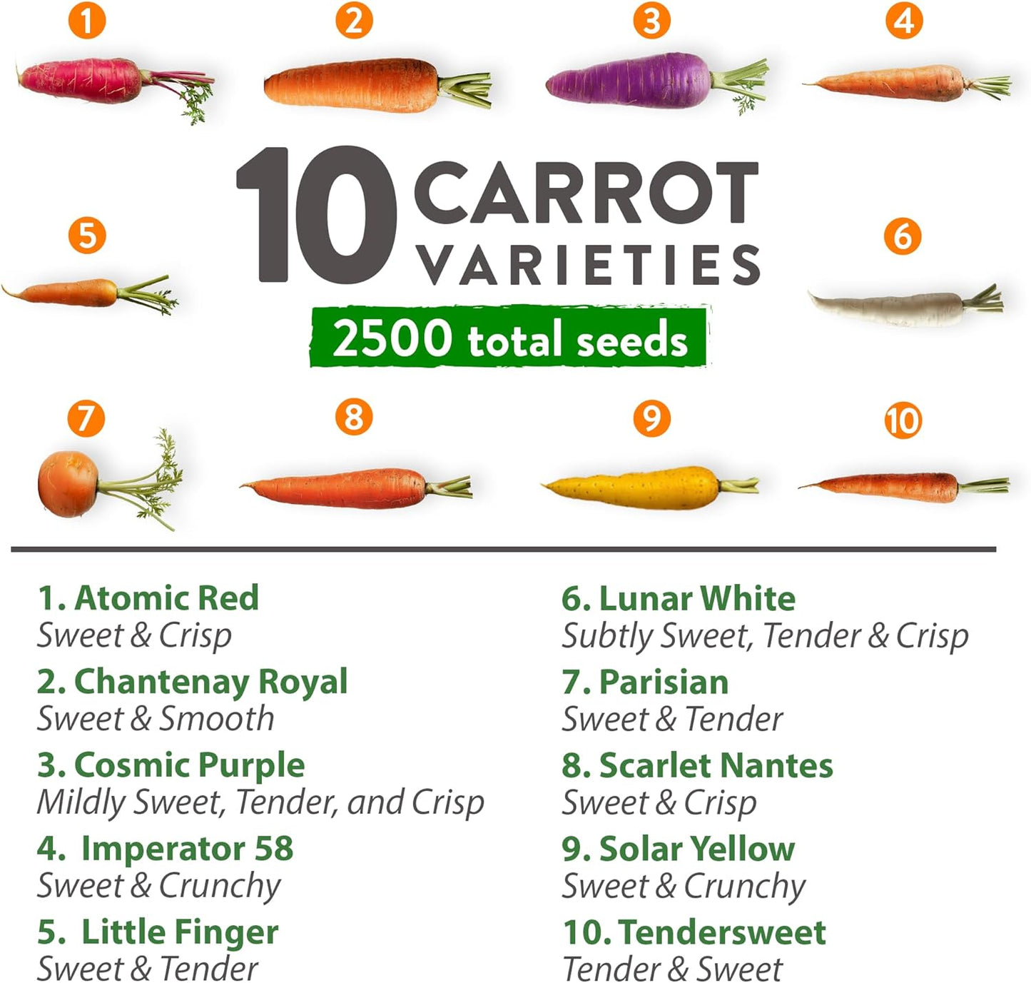 HOME GROWN π¨π¦π π£π₯ππ ππ¨π  Rainbow Carrot Seeds β 2500+ Heirloom Seeds (10 Varieties) β High Germination, π‘π’π‘-ππ π’ Vegetable Seeds for Planting Indoors or Outdoor Home Garden