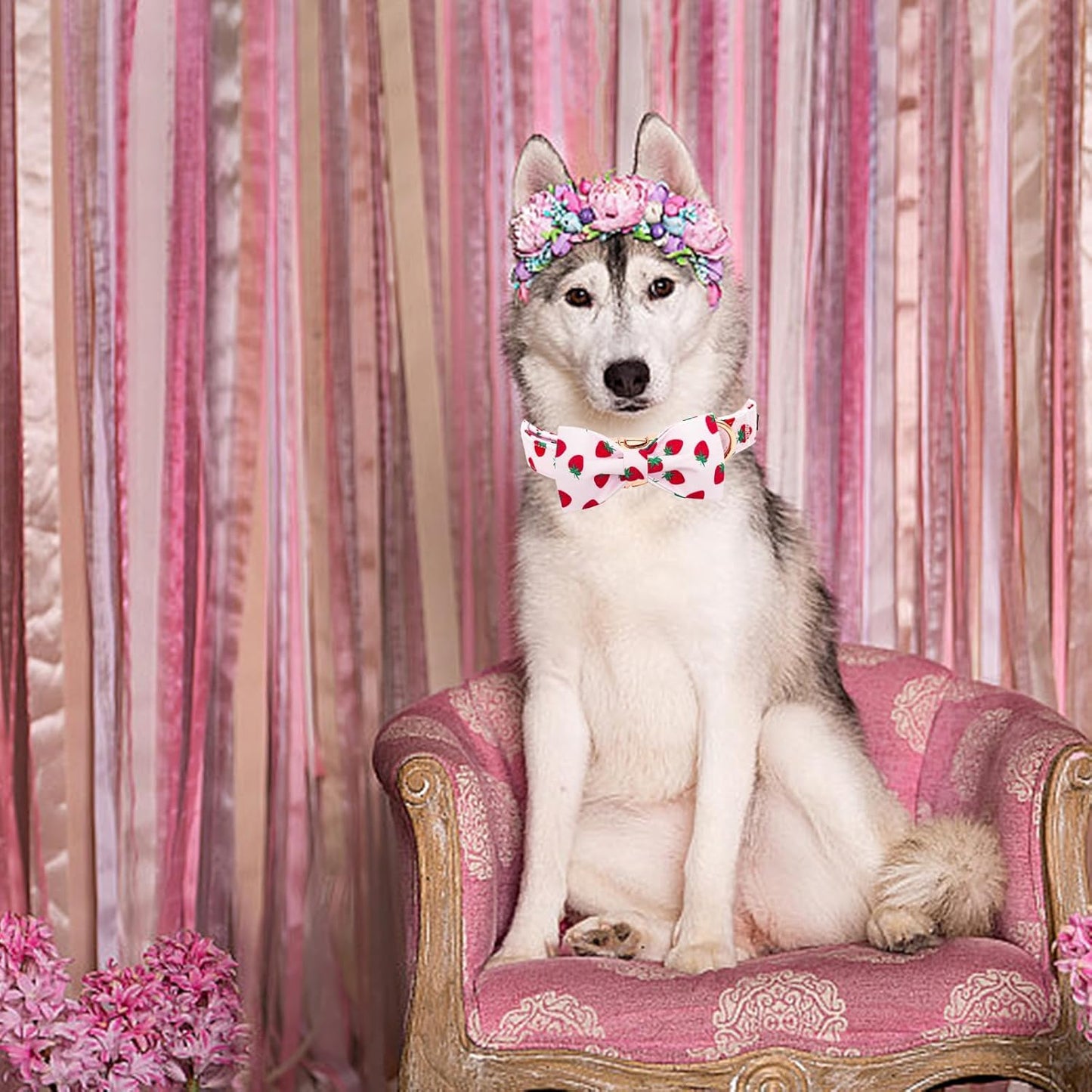 Elegant little tail Dog Collar, Strawberries Print Pet Collar Summer Dog Collar Durable Metal Buckle Dog Collars Cotton Pet Adjustable Dog Collars for Large Dogs