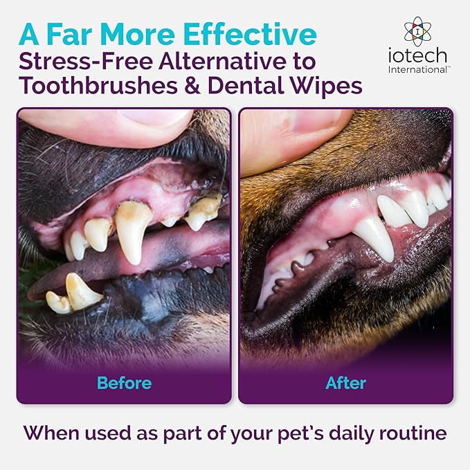 Recommended by Veterinarians Because it Simply Works Better. ioVet Oral Pet Water additive effortlessly Helps Your pet to The Clean, Healthy Mouth & Dazzling Fresh Breath You've Always Hoped for.