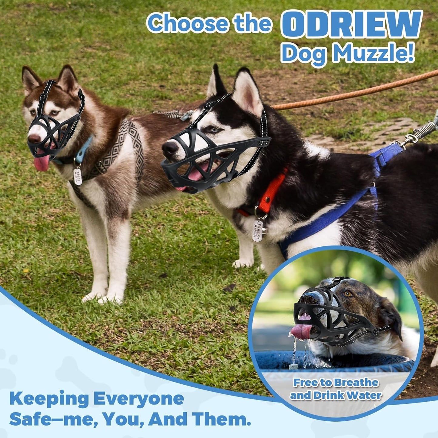 Dog Muzzle for Large Dogs, Breathable Basket Muzzles for Small, Medium and X-Large Aggressive Dog, Allows Panting Drinking, Suitable for Grooming Trimming Training (Black, M)