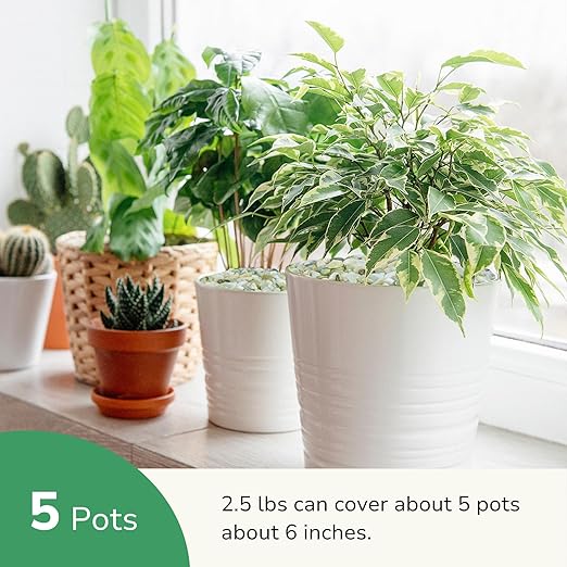 GreatBuddy 2.5-lb Decorative Rocks for Indoor Plants, 3/8" Jade Pebbles for Planters, Gravel for Succulent, Vases, Bamboo, Garden Landscaping, Crafts, Aquariums, Natural Polished