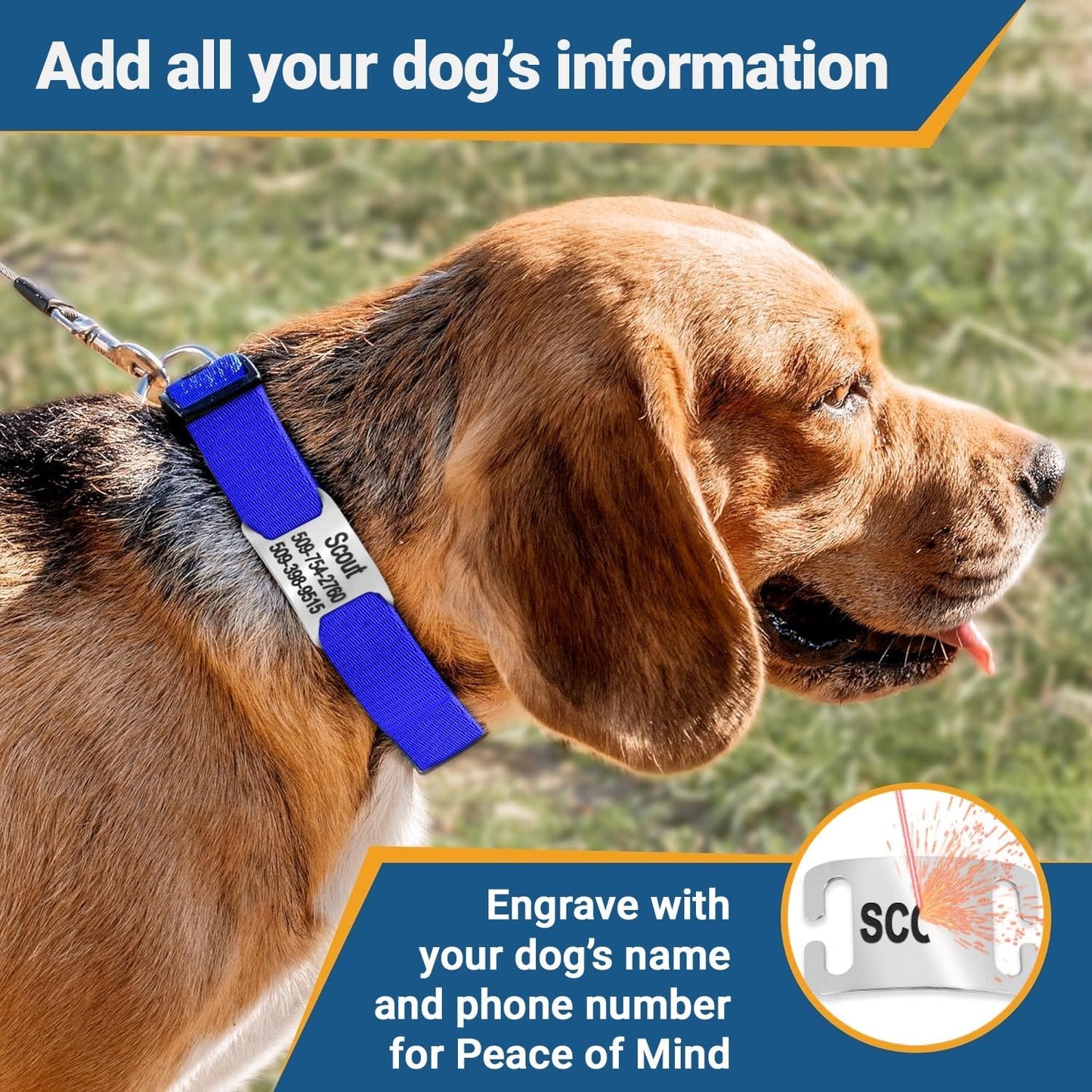 GoTags Personalized Dog Collar with Nameplate, Adjustable Dog Collar with Custom Engraved Slide On Pet ID Tag in Stainless Steel, Silent, No Noise Dog Tag (Lavender, Small)