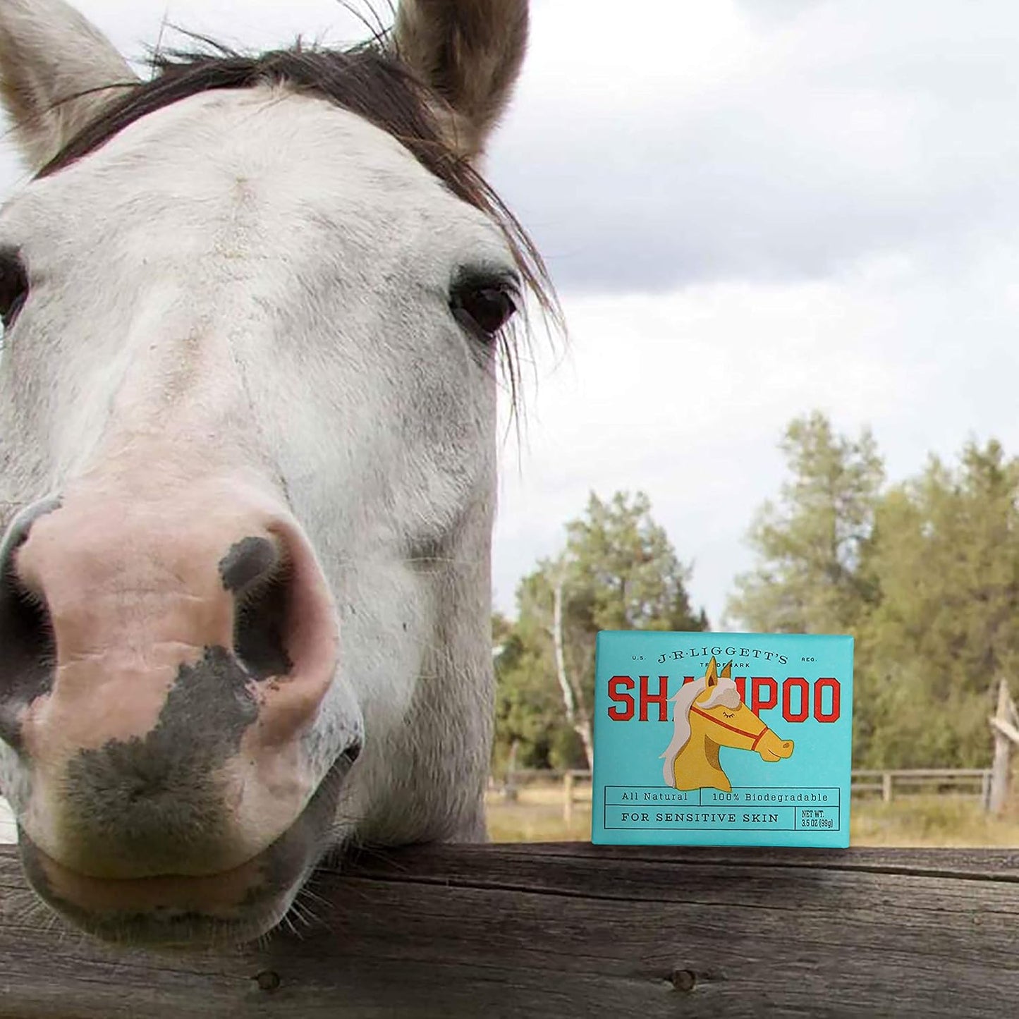 JR Liggett’s Natural Horse Shampoo Bar - Non-GMO, 100% Detergent-Free Formula Gently Deep Cleans and Supports Healthy Skin and Coat - Ideal for Dry, Itchy, or Sensitive Horses - 3.5 oz Bar