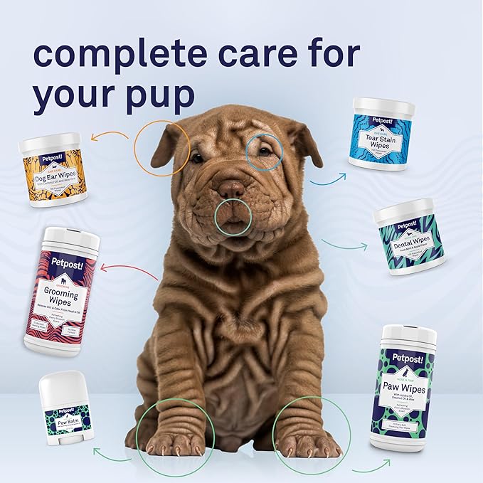 Petpost | Paw Protection for Dogs - Organic Sunflower Oil and Beeswax Balm for Hot Pavement - Wax Coats Dog Feet to Prevent Burns from Heat & Cold 0.64 oz.