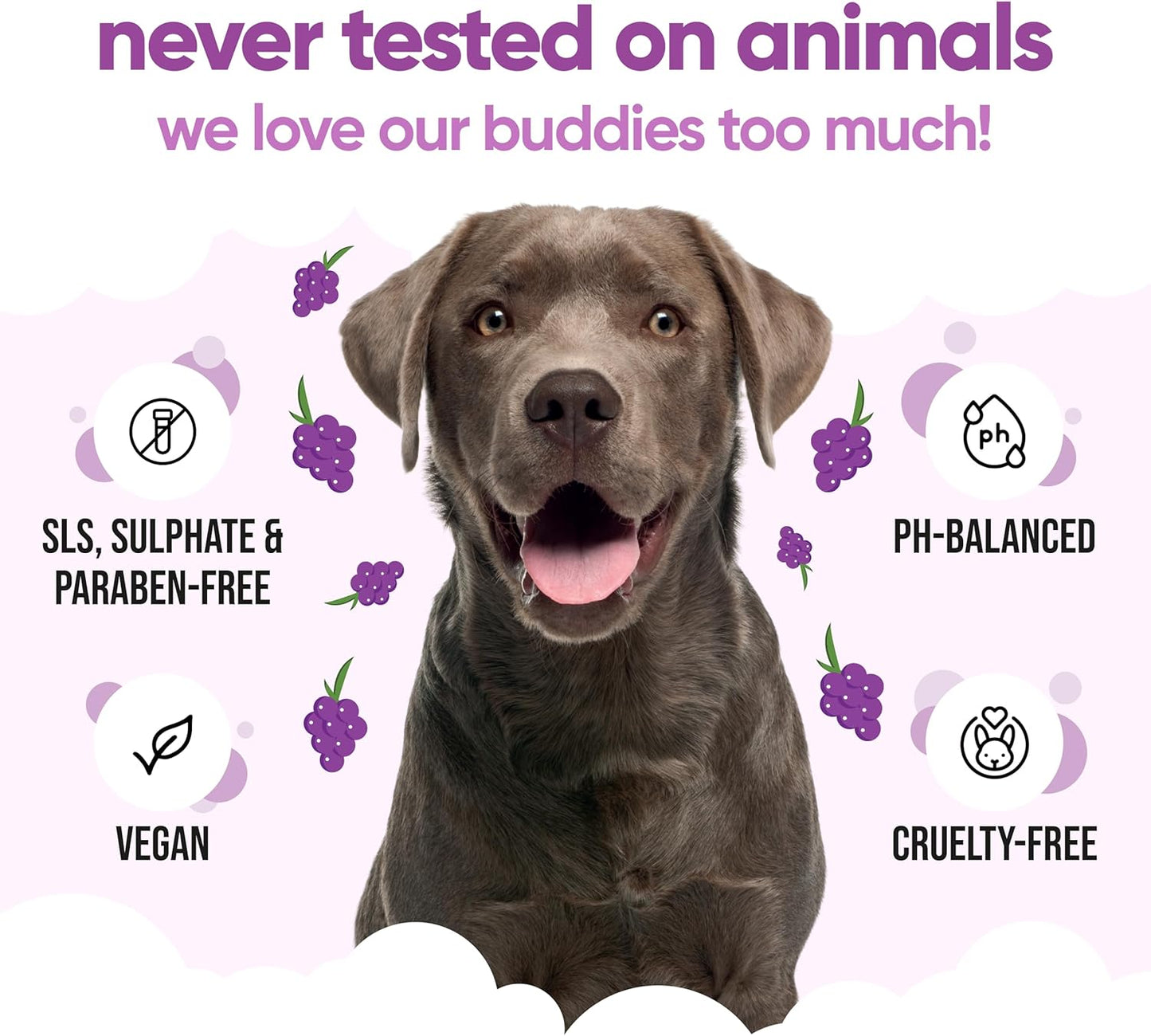 Grape Dog Shampoo by Buddycare | with Aloe Vera and Pro Vitamin B5 (50.72oz)