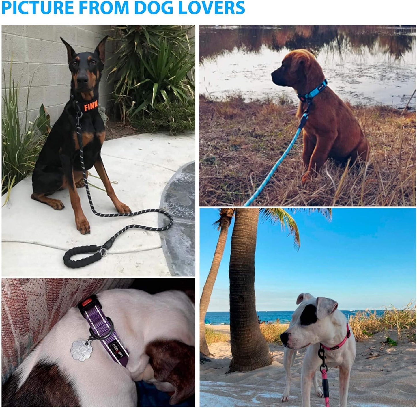 Heavy Duty Dog Leash - Comfortable Padded Handle, 5 ft Long - Dog Leashes for Small Medium Large Dogs (Leash+Collar L Neck 20"-25", Black)