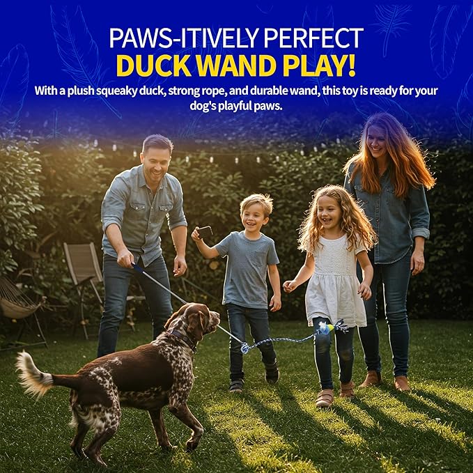 Pet Fit For Life Flirt Pole for Dogs – Extra Long 31" Dog Teaser Wand with Plush Duck Squeaky Attachment | Promotes Animal Health & Fitness, Made w/Soft & Durable Materials | Gift Idea