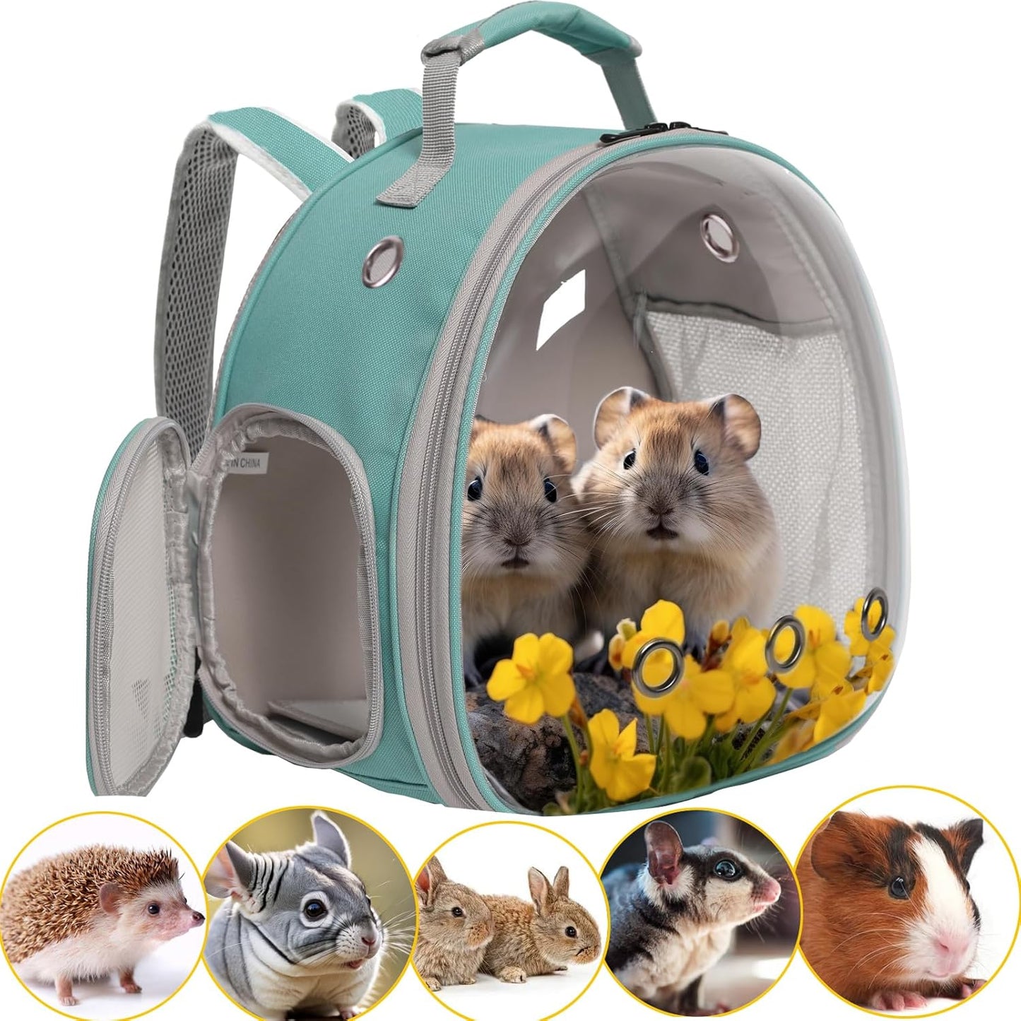 Guinea Pig Backpack Carrier, Bearded Dragon Carrier Backpack with Clear Bubble Window,Small Animal Travel Backpack for Hedgehog Rat,Chameleon,Rabbit,Sugar Glider,Airline Approved (Green, Backpack)