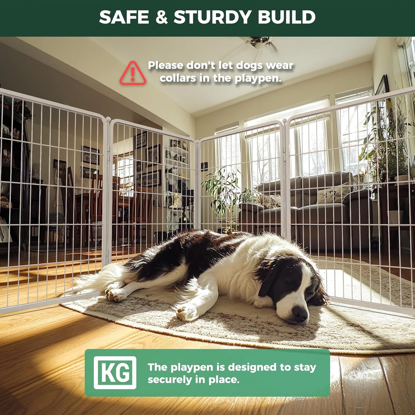 FXW Homeplus Unleashed Indoor Dog Playpen - Stress-Free and Safe Play, Heavy Duty 40 Inch 16 Wire Panels Dog Pen for Medium and Large Dogs, White│Patented