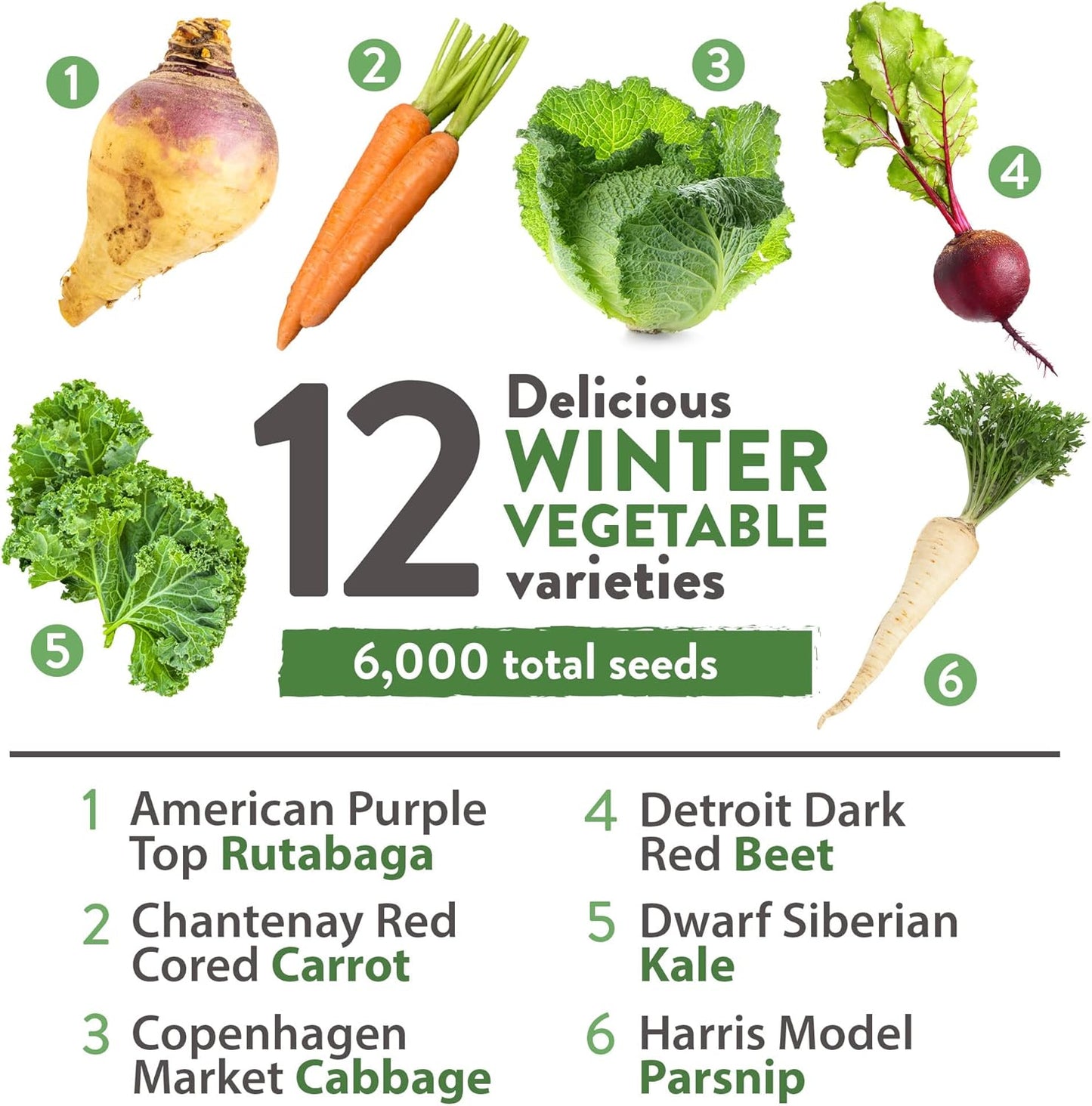 HOME GROWN 12 Winter Vegetable Seeds π‘π’π‘-ππ π’ Heirloom,Fall & Winter Vegetable Seeds for Planting Home Garden: Bean, Beet, Broccoli, Cabbage, Carrot, Cauliflower, Kale,Parsnip,Squash,Chard & More