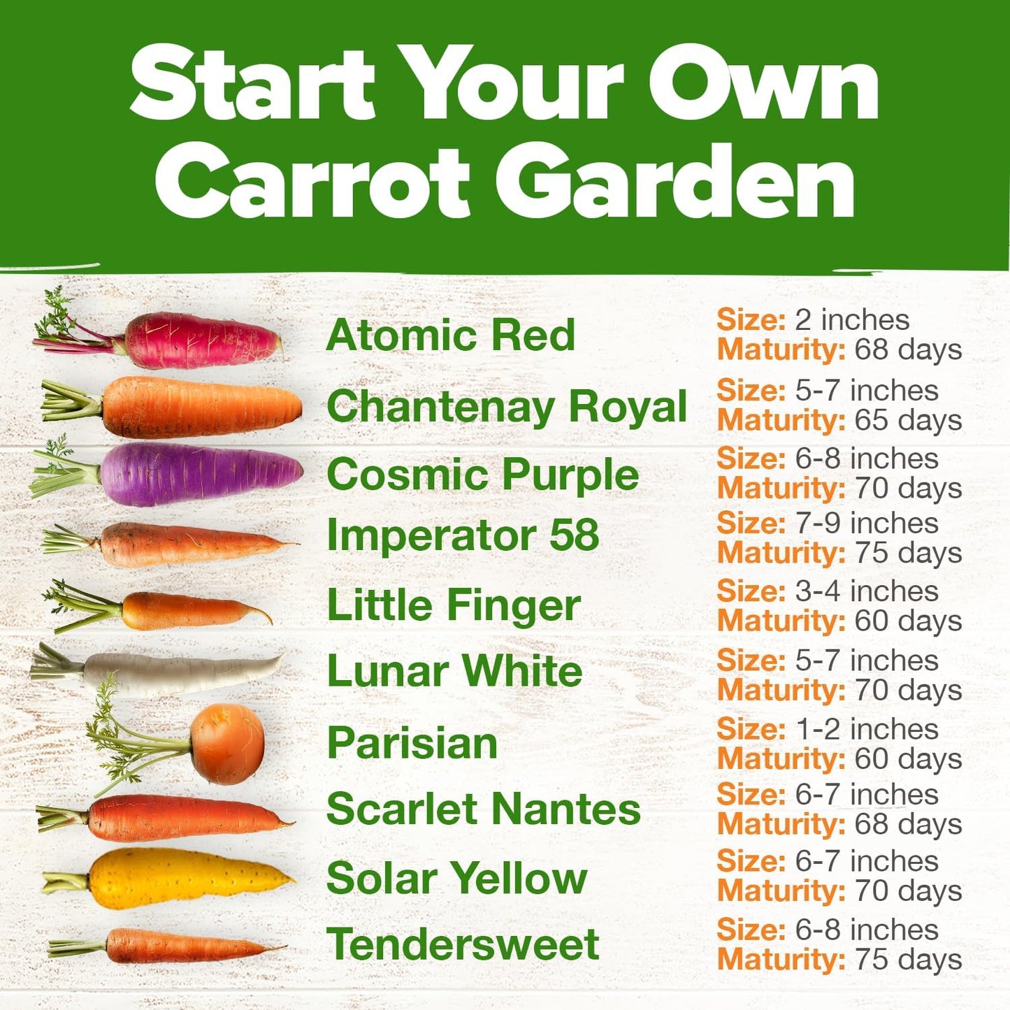 HOME GROWN π¨π¦π π£π₯ππ ππ¨π  Rainbow Carrot Seeds β 2500+ Heirloom Seeds (10 Varieties) β High Germination, π‘π’π‘-ππ π’ Vegetable Seeds for Planting Indoors or Outdoor Home Garden