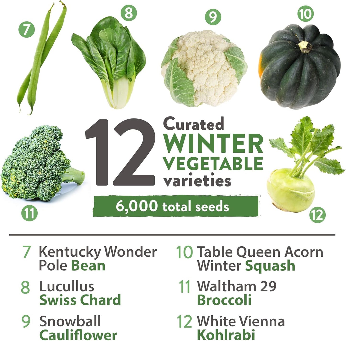 HOME GROWN 12 Winter Vegetable Seeds π‘π’π‘-ππ π’ Heirloom,Fall & Winter Vegetable Seeds for Planting Home Garden: Bean, Beet, Broccoli, Cabbage, Carrot, Cauliflower, Kale,Parsnip,Squash,Chard & More