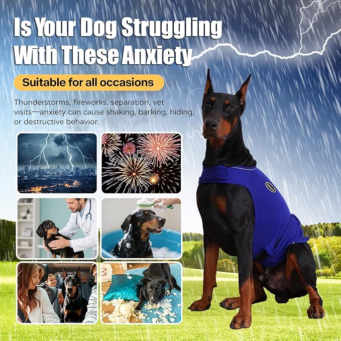 Dog Anxiety Vest - Skin-Friendly Calming Shirt for Thunder, Fireworks, Vet Visits & Separation Anxiety – No Medicine or Training Needed – Suitable for Small, Medium, and Large Dogs