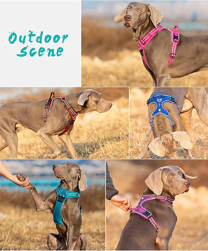 TRUE LOVE Dog Harness No Pull Nylon Reflective Pet Harness Adjustable Comfortable Control Step-in Brilliant Colors Truelove TLH56512 XL Black