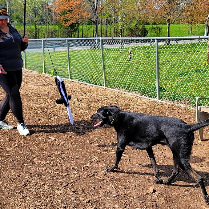 Flirt Pole For Dogs- Extendable Heavy Duty Flirt Pole For Dogs- Interactive Dog Training Toy w/ Interchangeable Lures & Instructional Guide- Engaging Heavy Duty Dog Toy- Flirt Pole For Large Pups