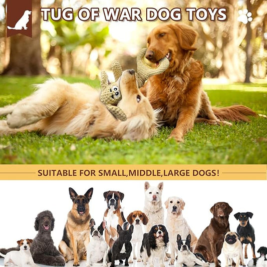 🐾 One Paw, One Treat, One Life Filled with Joy – Why Your Pet Deserves Better Every Day