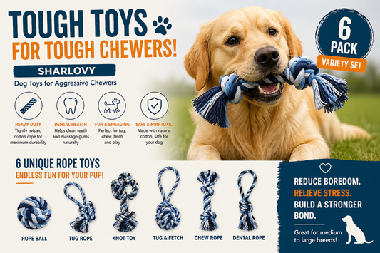 🐶 The Best Dog Toys for Aggressive Chewers (That Actually Last)