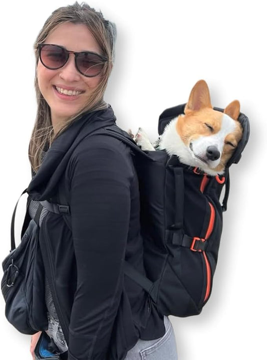 Maxine One Dog Backpack Carrier for Medium Dogs by Little Chonk | Adjustable & Ergonomic Front Facing Dog Carrier Backpack | Bult to be Safer | Pet Backpack Carrier, Featured in Wired Magazine - Black