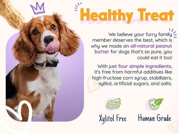 BUDDY BUDDER Superberry Snoot + Pumpkin Pup Blue Dog Enrichment Mat Combo, 100% Natural Peanut Butter, Healthy Dog Treats - Made in USA (Set of 2 / 17oz Jars + Lickmat)