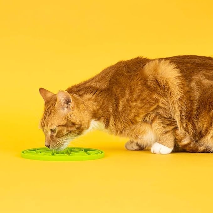 P.L.A.Y. Enrichment Feeding Lick Mat for Dogs & Cats - ZoomieRex EverLick, Great for Puppies & Small, Medium, Large Dogs - Alleviate Boredom, Slow Feeder for Meal or Treats, Dishwasher Safe (Green)