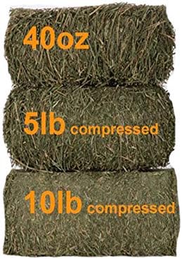 Grandpa's Best Timothy Hay Bale, 40 oz
