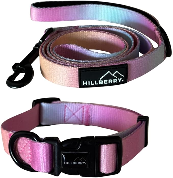 HILLBERRY Dog Collar and Leash Set Adjustable Rainbow Pink Purple Blue Puppy Pet Essentials and Supplies - Size L