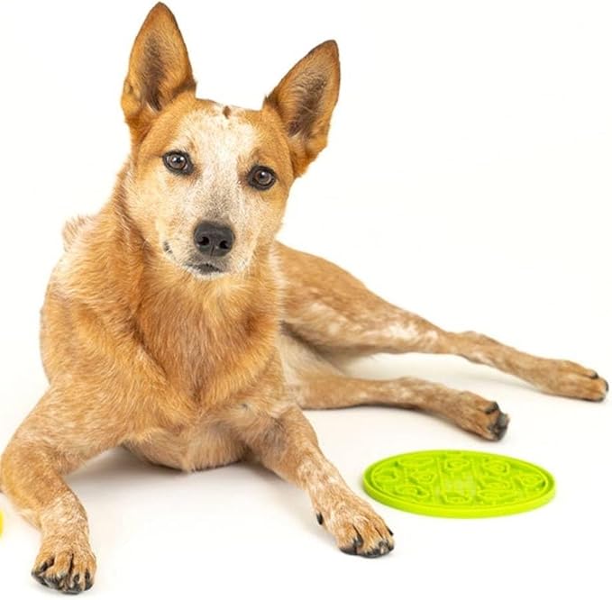 P.L.A.Y. Enrichment Feeding Lick Mat for Dogs & Cats - ZoomieRex EverLick, Great for Puppies & Small, Medium, Large Dogs - Alleviate Boredom, Slow Feeder for Meal or Treats, Dishwasher Safe (Green)