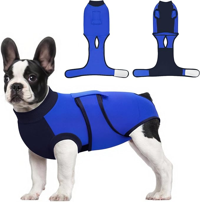 Idepet Dog Recovery Suit Female,Dogs Onesie Suit Surgery Male Breathable Pet Bodysuit for Spay Neuter E-Collar & Cone Alternative Surgical Suit Puppy Abdominal Anti Licking Wounds Shirt (Blue, L)