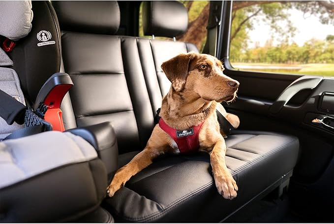 Clickit Sport Plus - Crash-Tested and Safety Certified Car Seat Belt Harness for Dogs (Large, Olive Green)