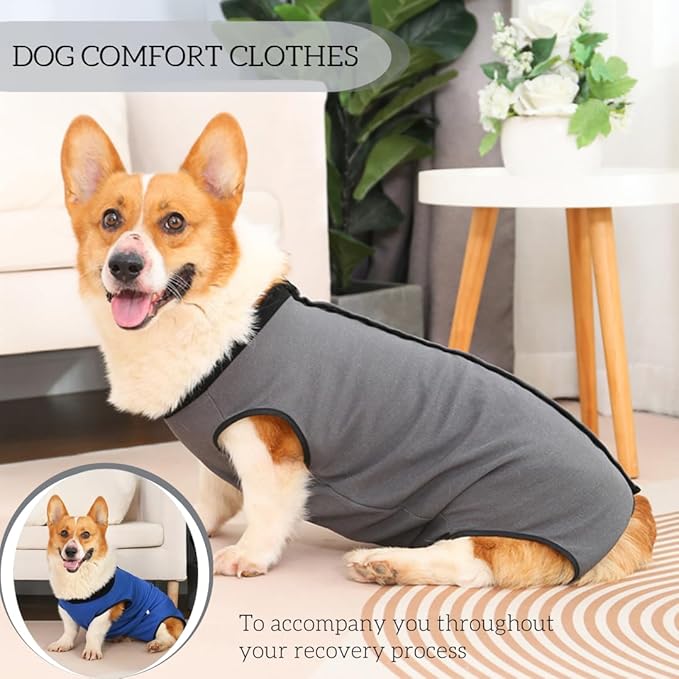 Dog Surgery Recovery Suit,Abdominal Surgical Suit for Dogs,Recovery Suit for Dogs,Prevent Licking Surgical Wound Dog Cone Alternative Grey L
