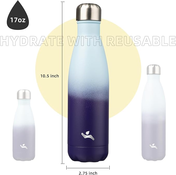 Insulated Water Bottles,17 oz Double Wall Stainless Steel Vacumm Metal Flask for Sports Travel,Ocean Dream