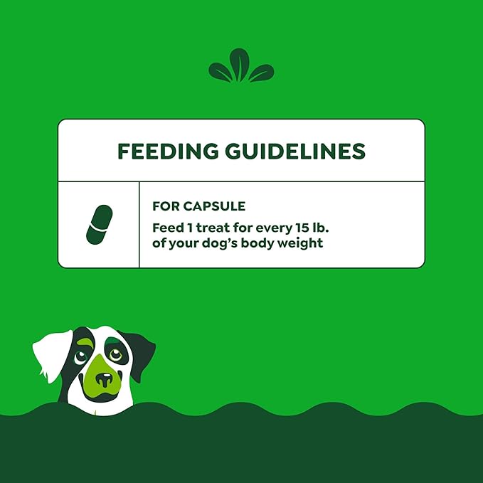 Greenies Pill Pockets for Dogs Large Size, Dog Treat Pouch for Capsule Medication, Hickory Smoke Flavor, 15.8 oz. Pouch