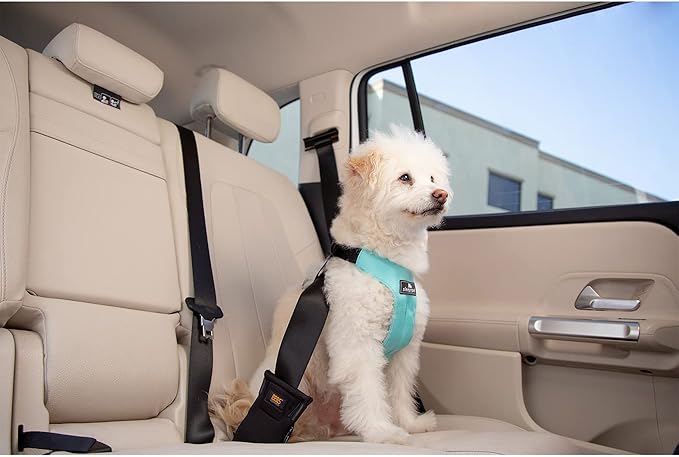 Clickit Sport Plus - Crash-Tested and Safety Certified Car Seat Belt Harness for Dogs (Large, Jet Black)