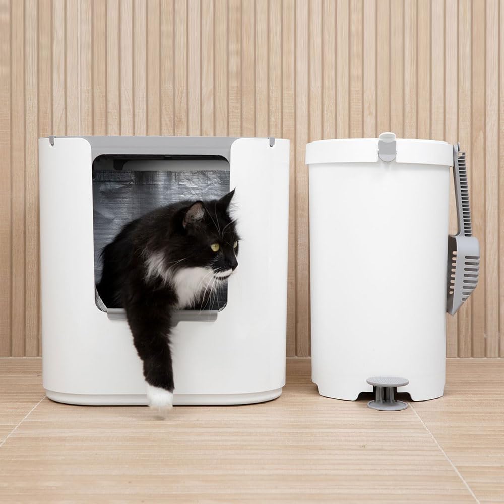 Modkat® XL Litter Box, Top or Front-Entry Configurable, Full Height Seamless Base, Reusable Litter Liners, Sifting Litter Scoop, 2X Bamboo Charcoal Filters - White
