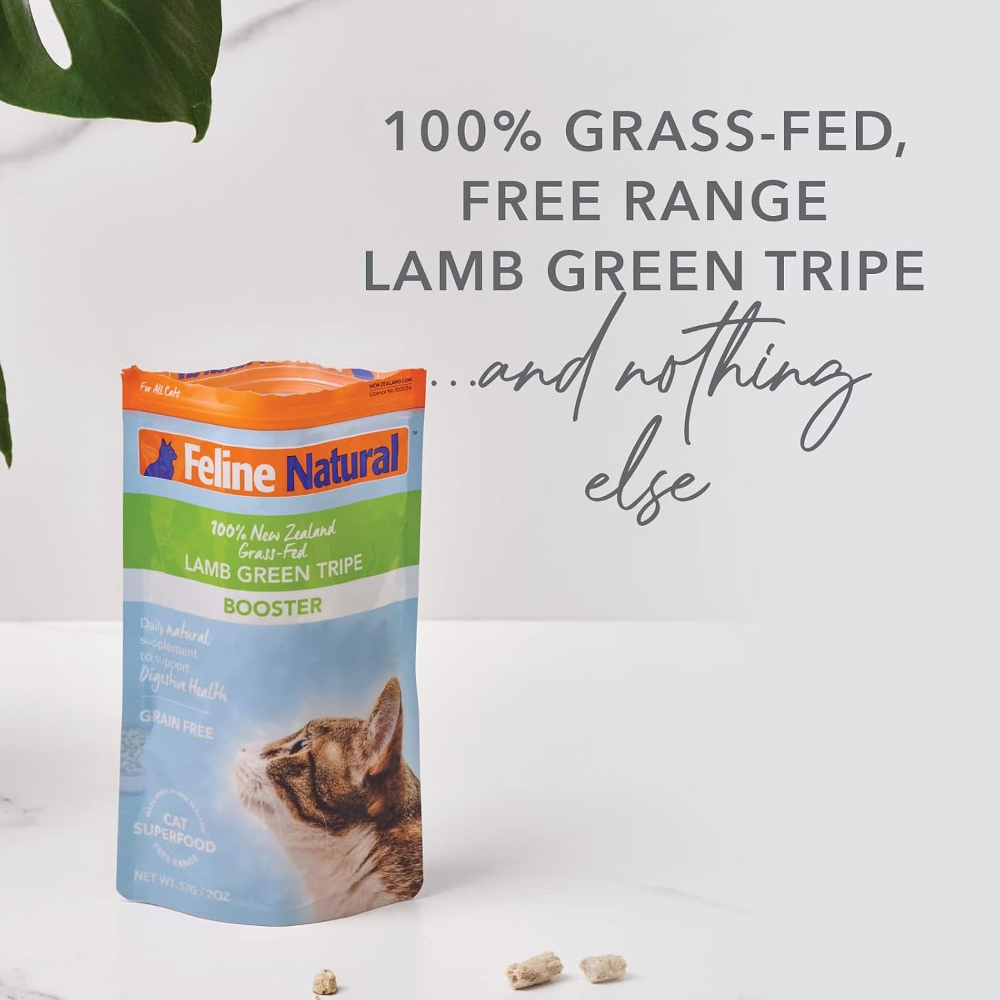 Feline Natural Freeze Dried Lamb Green Tripe Cat Food Supplement - Grain-Free High Protein Natural Topper - 2 Oz Grass Fed Beef Freeze Dried Cat Treats